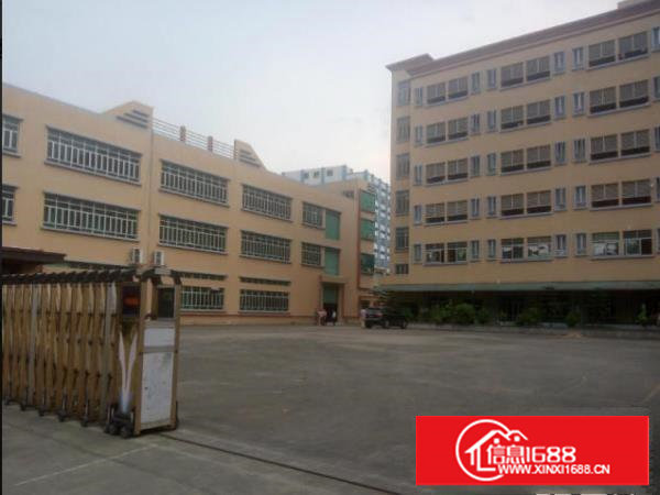 塘厦清湖头独院标准厂房一楼800平带装修交通方便