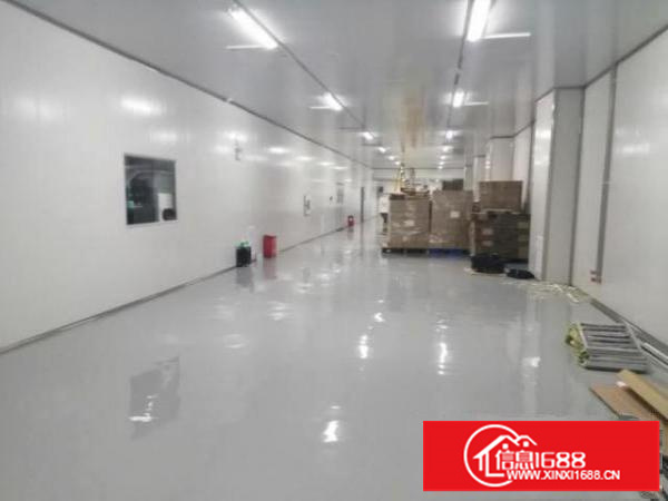 无尘车间低价出租不要转让费