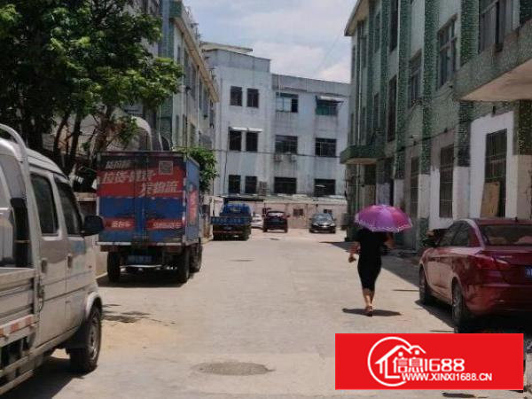 沙井新二独院厂房空地大楼上厂房