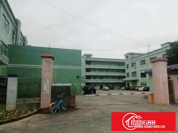 坪山石井新出一楼钢构厂房1000平方可分租