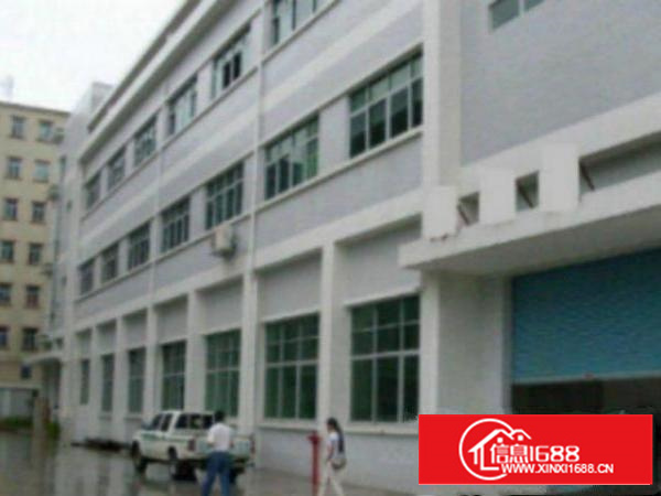 万江带现成装修标准一楼700或1000平方招租现成水电，宿舍