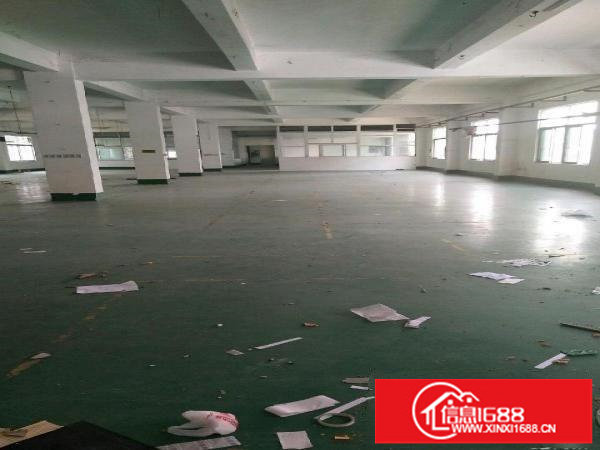 龙岗中心城龙西学园路独院厂房出租可分租