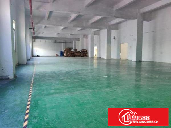 横沥六甲原房东一楼1600厂房出租带装修地坪漆
