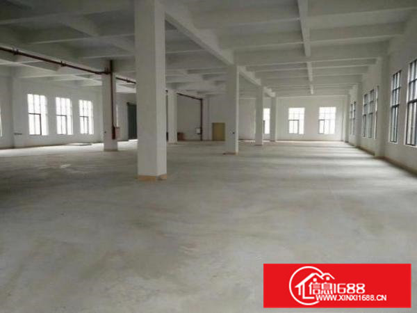 大岭山镇全新独院厂房厂房5000平米