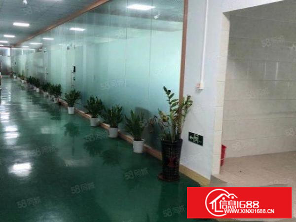 寮步镇新出十万级无尘车间，工业园大气漂亮，无转让费