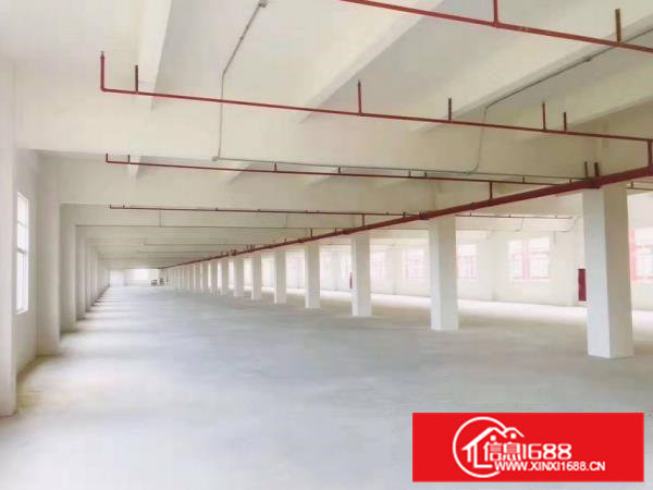 免押金出租凤岗雁田工业区原房东3000平厂房300起可分租