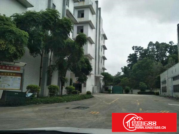 龙岗同乐高速路出口附近原房东独院厂房分租一层1280平米