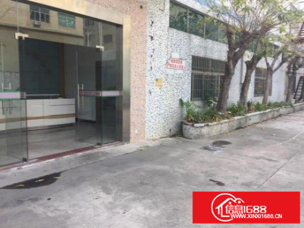 平湖新出一楼标准厂房1000平方价格实惠