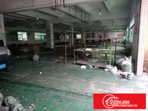 横沥镇原房东独院13层5000平招租，空地大，形象好