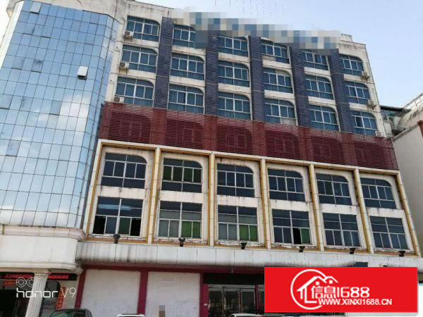 平湖7层整栋公寓招租投资，就在地铁站，火车站旁边;速度来看