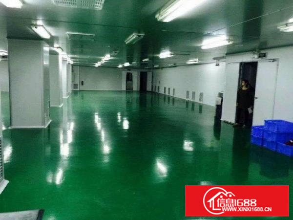 清溪靠塘厦2400平整层无尘车间水电线路齐全租