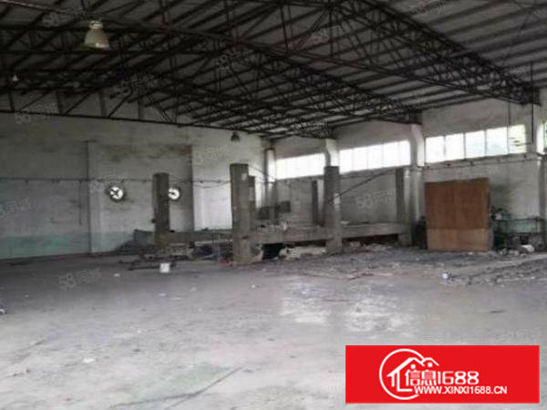 大岭山镇杨屋村单一层钢构厂房出租1000平滴水7米可分租