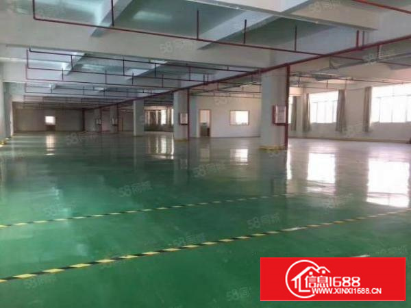 石排标准厂房3300方现房出租，租17元，水电齐全，消防喷淋