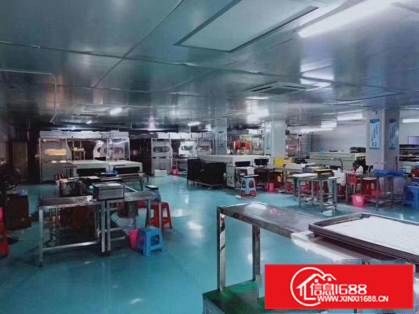 口罩、高精度电子看中可拎包入住