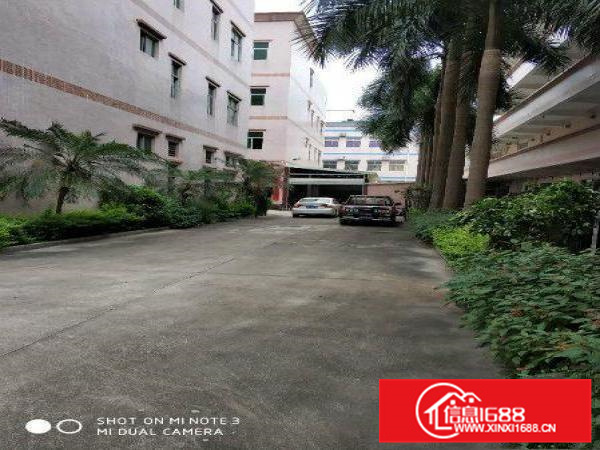 (红本厂房)1800平秋长新出工业园红本厂房