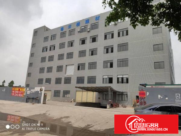 独门独院一楼1100平方出租