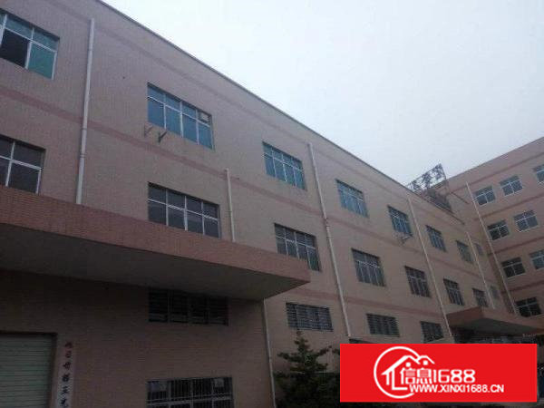 横岗荷坳独院厂房4720平米出租，可分租