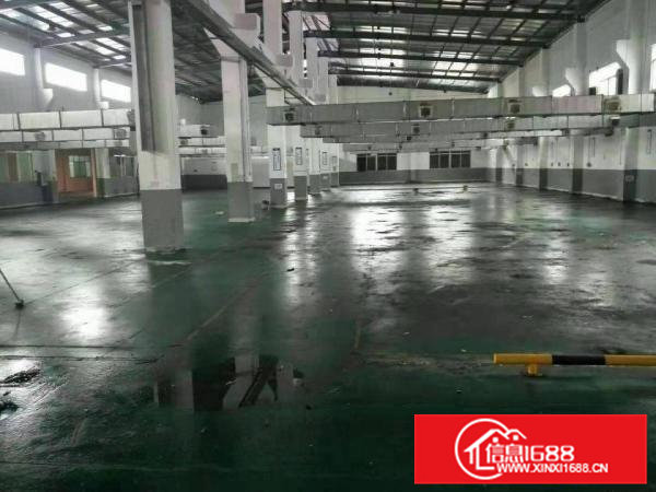 原房东独门独院4500平单层11米滴水可办环评