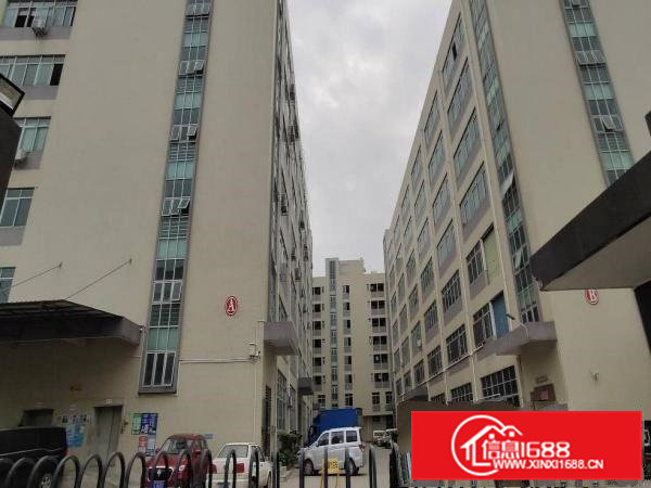 凤岗原房东楼上厂房4层各2100平方可分租13元起