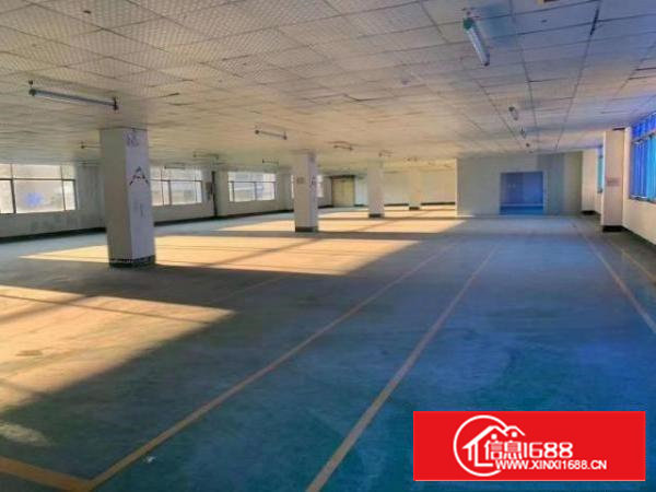 沙井107国道18元带装修厂房招租环境优美停车位充足