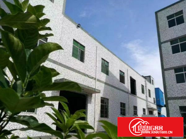 带牛角带行车！横沥两层4000平方米独院厂房出租