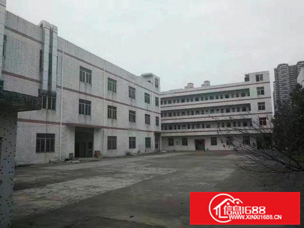 龙岗龙西北通道独院厂房5000平大小分租