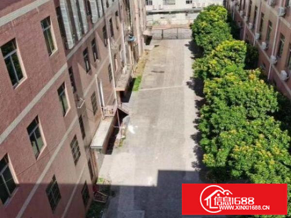 平湖新木6000平独院厂房出租，空地超大，电力足