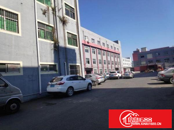 厂房出租横岗六约一楼1100平方带精装修空地超大红本厂房