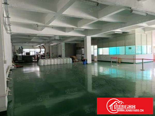 松岗沙浦靠近107国道边上带全新地漆带精装办公室厂房900平