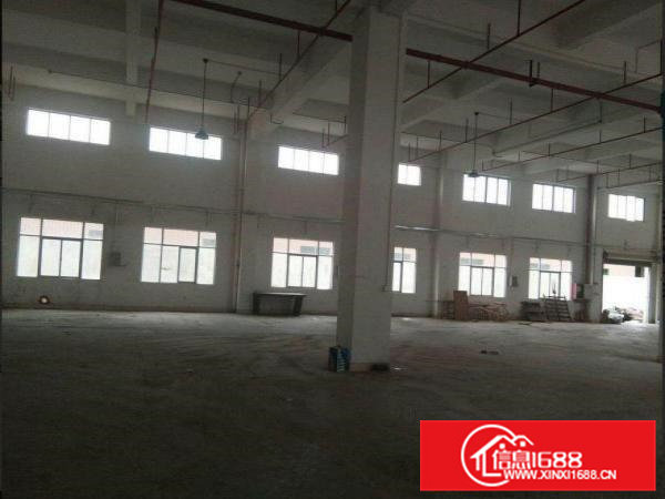 谢坑原房东一楼标准厂房420平出租