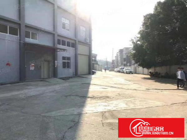 常平镇新出标准一楼1600平方租金便宜