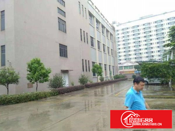 长安乌沙原房东楼上5500平每层厂房出租电商仓库出租分租