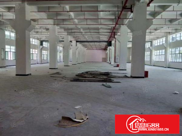 带红本国土证全新标准厂房可办理环评256403栋出租分租