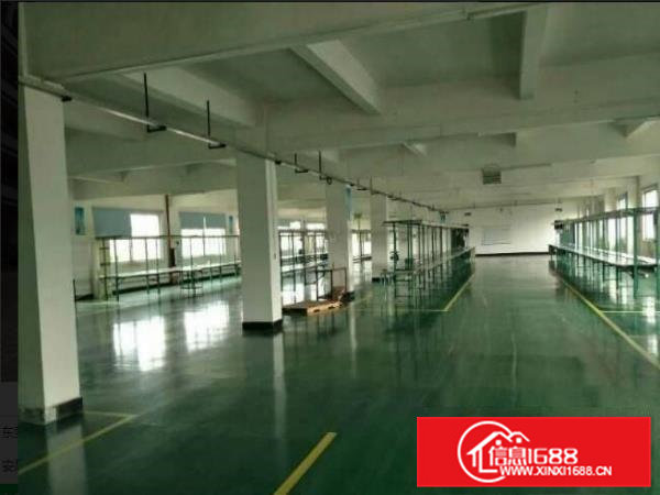 常平新出分租三楼全车间地坪漆厂房2500平方