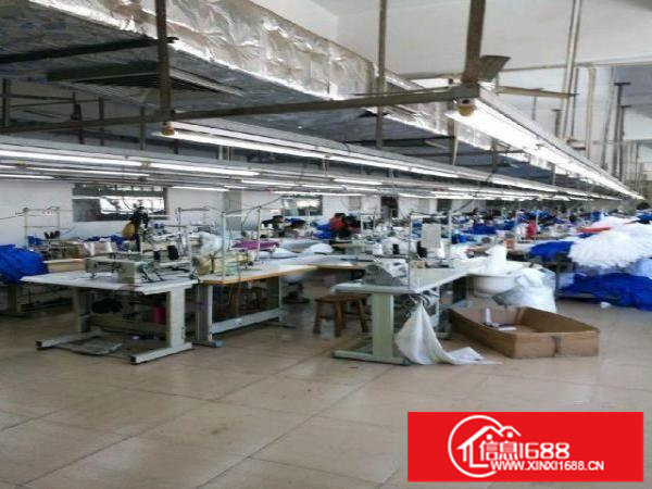 横岗西坑锦泰百货650平米原房东厂房出租