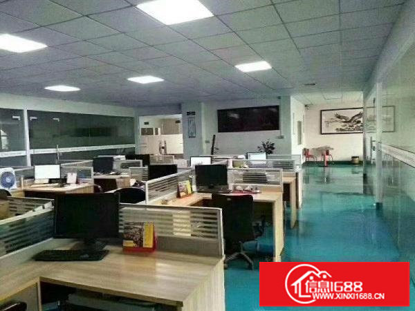 新生原房东带无尘车间整层1200平无需转让费