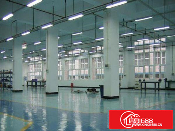 平湖辅城幼带装修一楼厂房1100平，房东直租