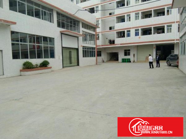 陈江金铂奇工业园带装修砖墙到顶新钢构2100平招租