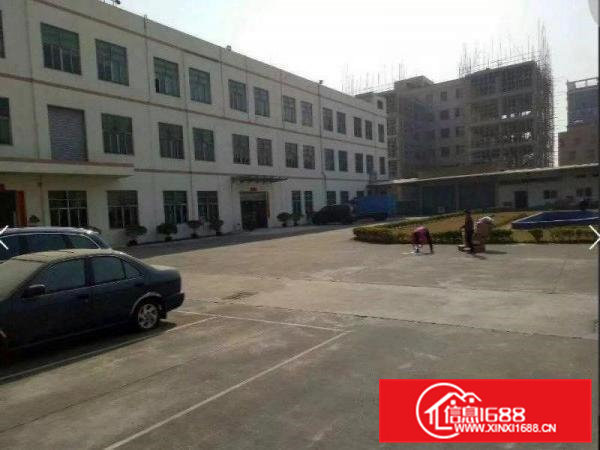 常平靠大朗新出3层7800平方独院厂房，可分租