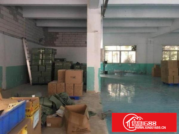 大小厂房写字楼招租大浪商业中心