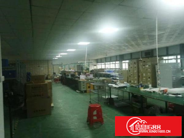 观澜1100平米带装修厂房出租