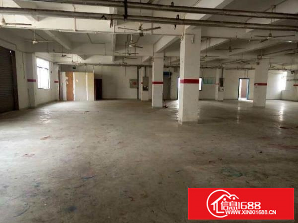 仲恺陈江独院厂房2600平方，可以分租、出入方便