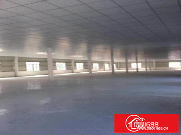 清溪大利独栋新建4090平厂房出租