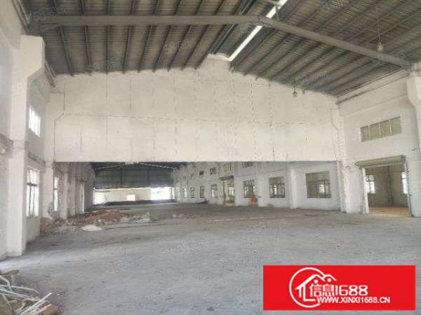 新出!深圳观澜独院厂房12300平方出租,大小可分租啦!