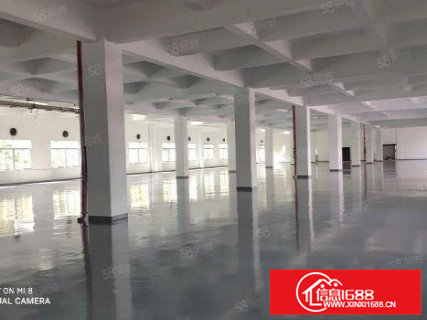 青皇新出工业园二楼标准厂房2350平，可分租可整租，急租价优