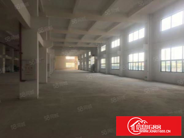 勒流江义800方国有厂房水泥首层，租金仅需18500月两押