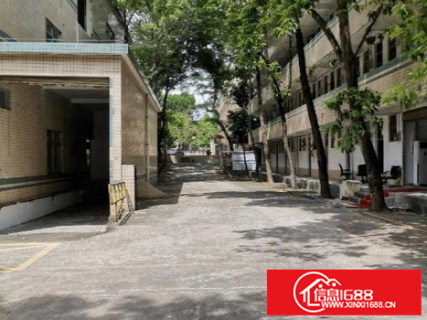 观澜独门独院厂房出租，可分租，火热招商中