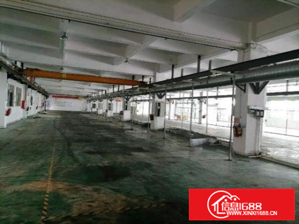 寮步上屯现成注塑车间出租