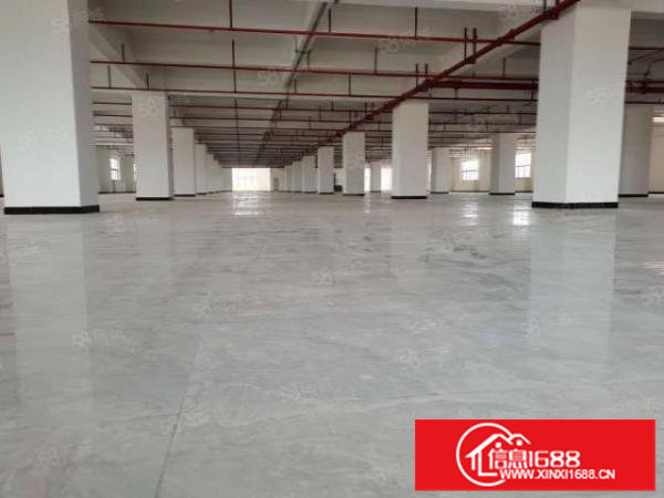 龙岗坂田原房东独院分租一楼1500平厂房出租空地大可做物流