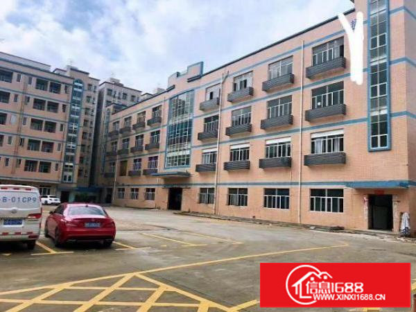 独门独院带豪华精装修